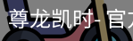 尊龙凯时
